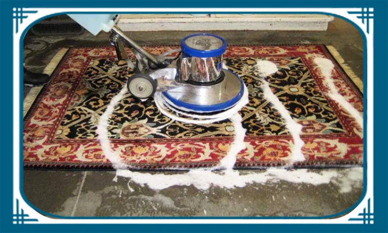 Professional Area Rug Cleaning